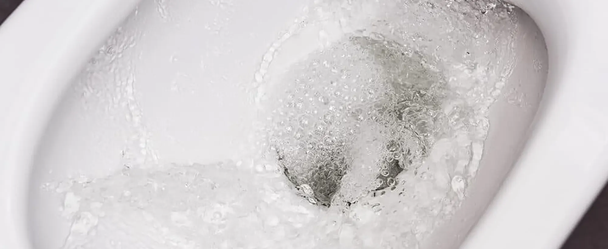 Sustainable solutions for waterless toilets